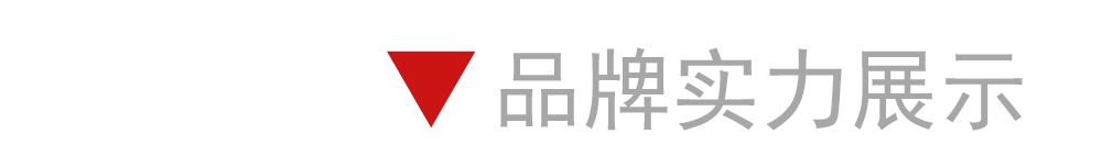 粘钢胶 (16)